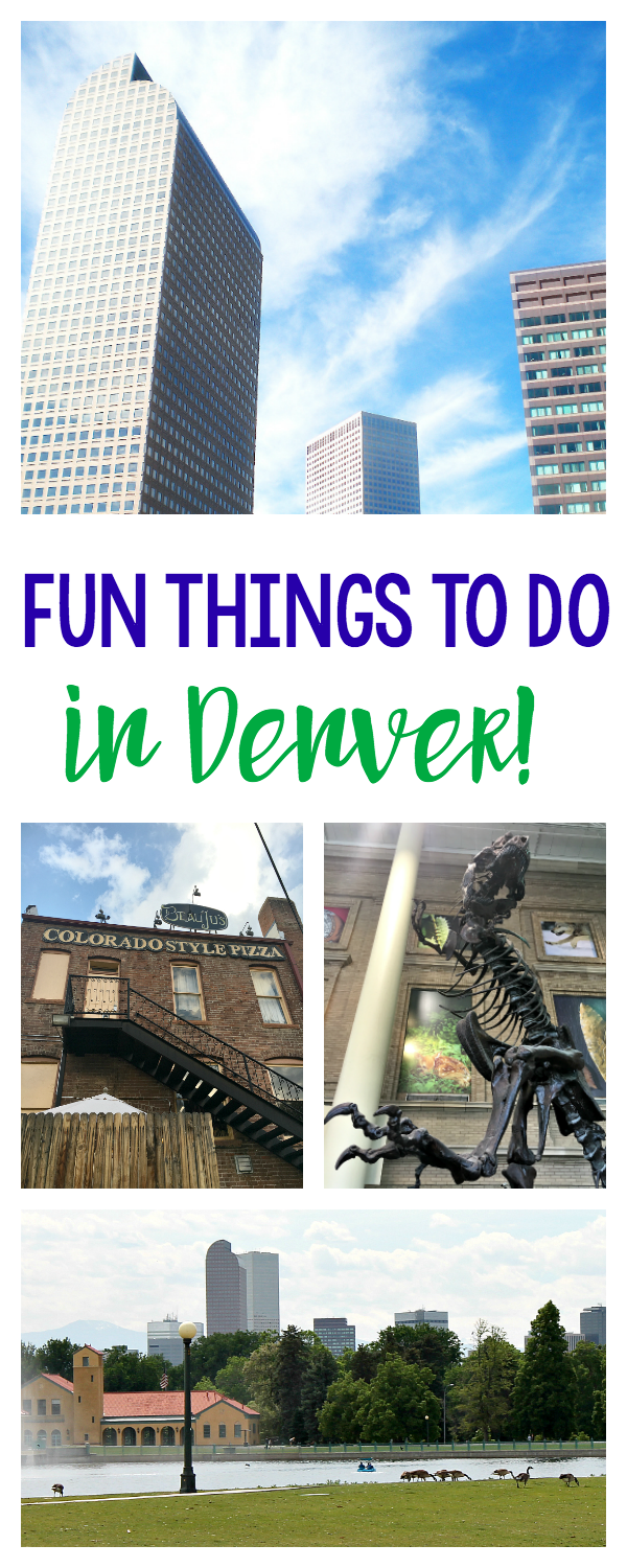 Fun Things to do in Denver When You Visit