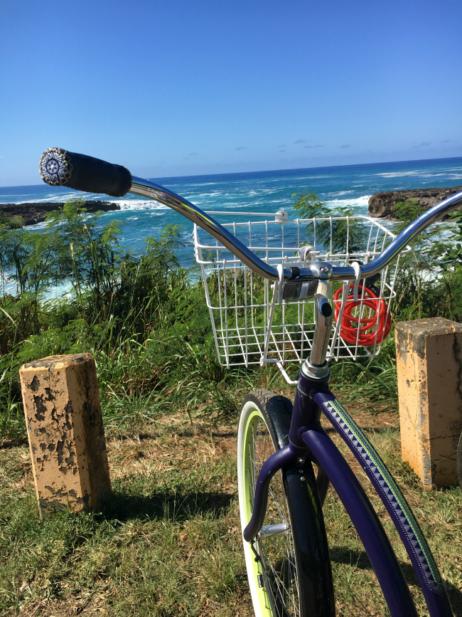 Things to do on North Shore Oahu