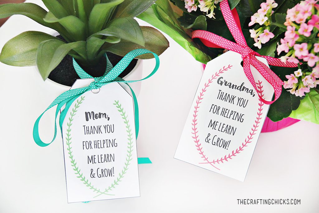 Good Gifts for Mom on Mother's Day