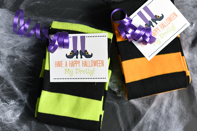 Cute Witch Socks Halloween Gift