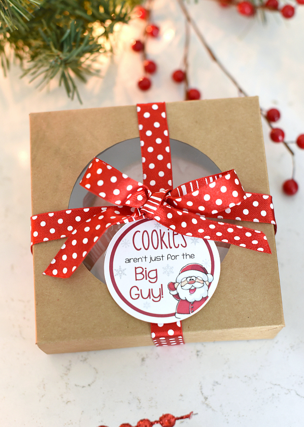 Easy Cookie Christmas Gift for Friends or Neighbors