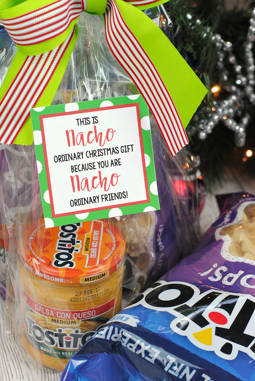 Funny Christmas Gift Idea with Pringles – Fun-Squared