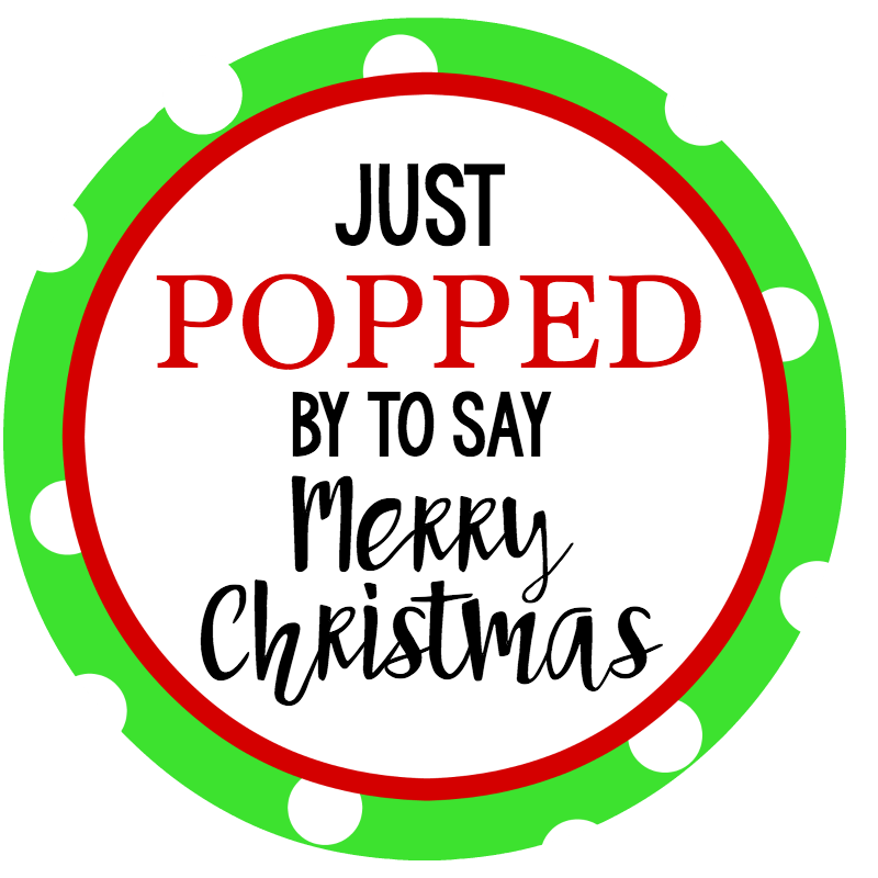 Just Popped By-Simple Christmas Neighbor Gifts – Fun-Squared