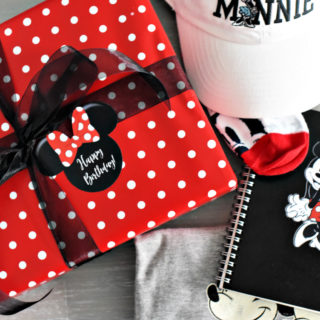 Minnie Mouse Gift