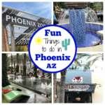 Fun things to do in Phoenix with kids