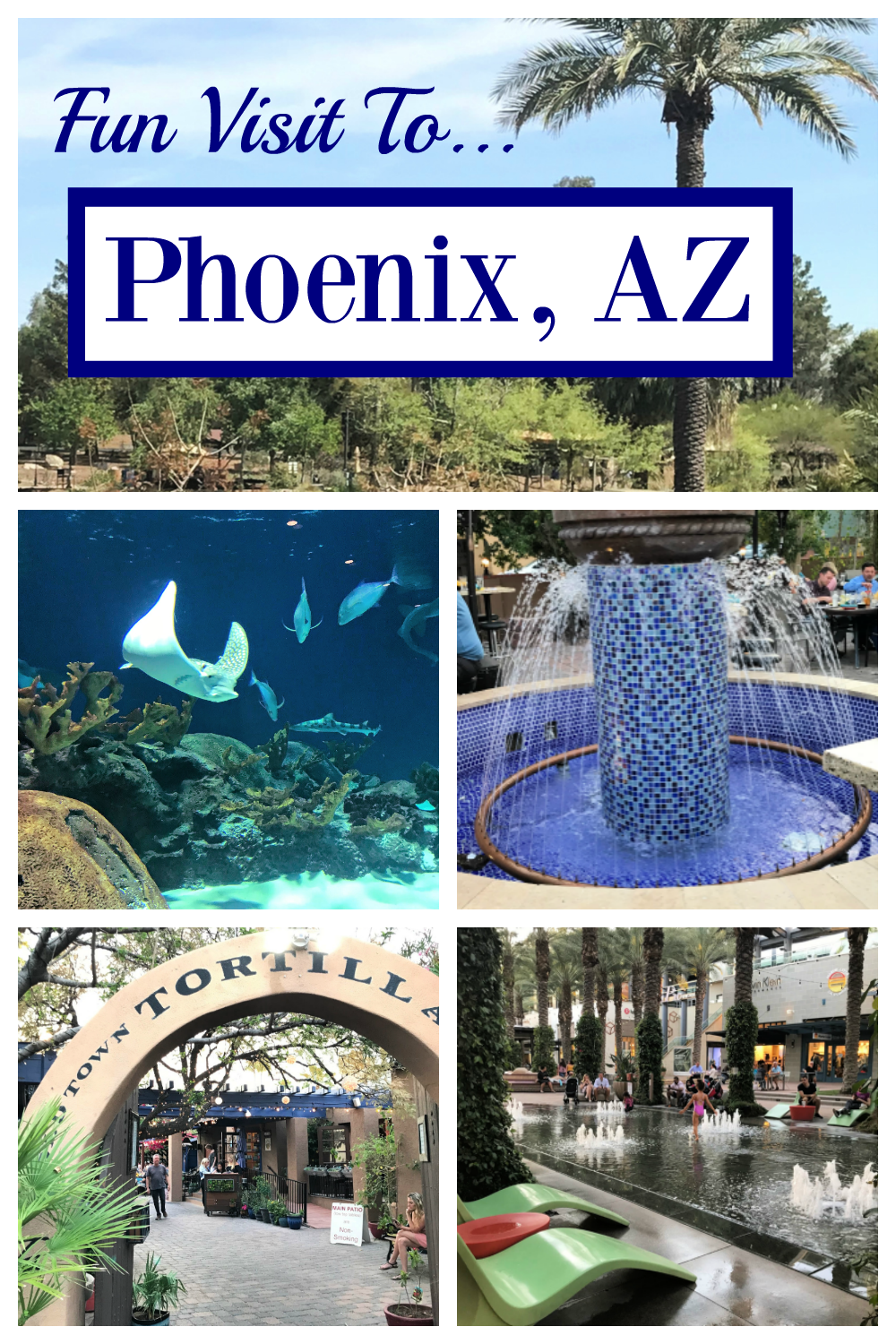 Fun things to do in Phoenix! Plan the perfect Phoenix vacation for your family! Fun vacation tips and tricks. #phoenix #phoenixvacation #funvacationforkids #kidsvacation #phoenixwithkids