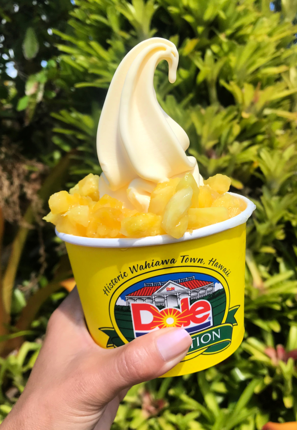  Whip at the Dole Plantation
