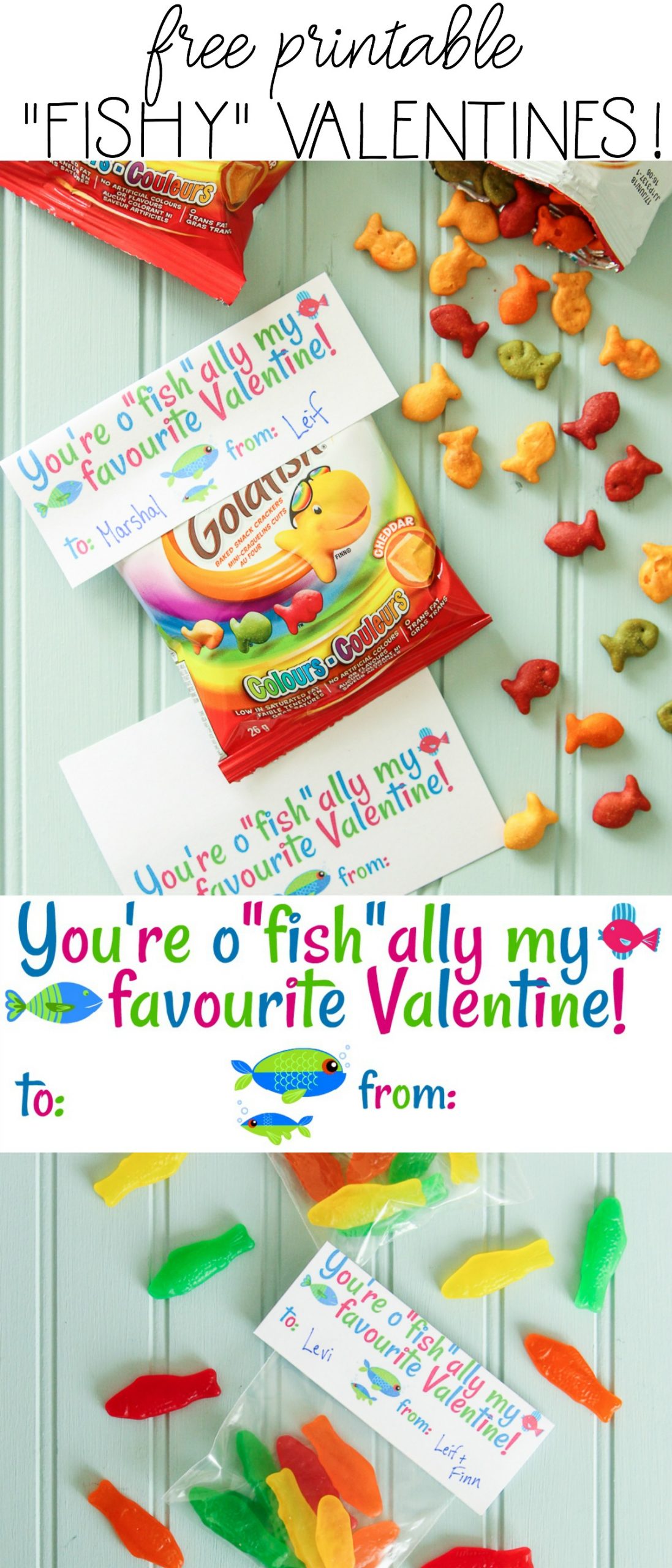 Fish Valentine