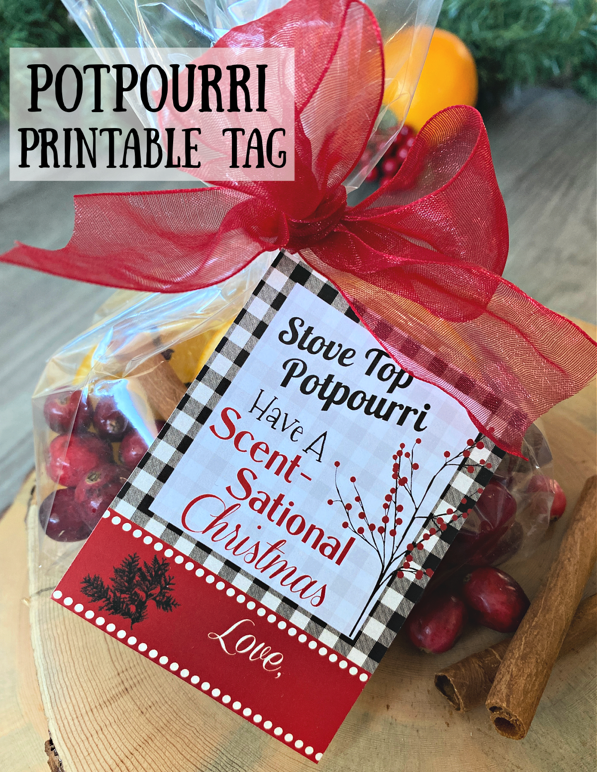 Homemade Holiday Stovetop Potpourri - The Sweetest Occasion