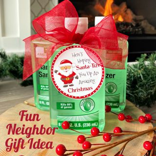https://fun-squared.com/wp-content/uploads/2020/12/Santa-Tize-Neighbor-Gift-Idea-320x320.jpg