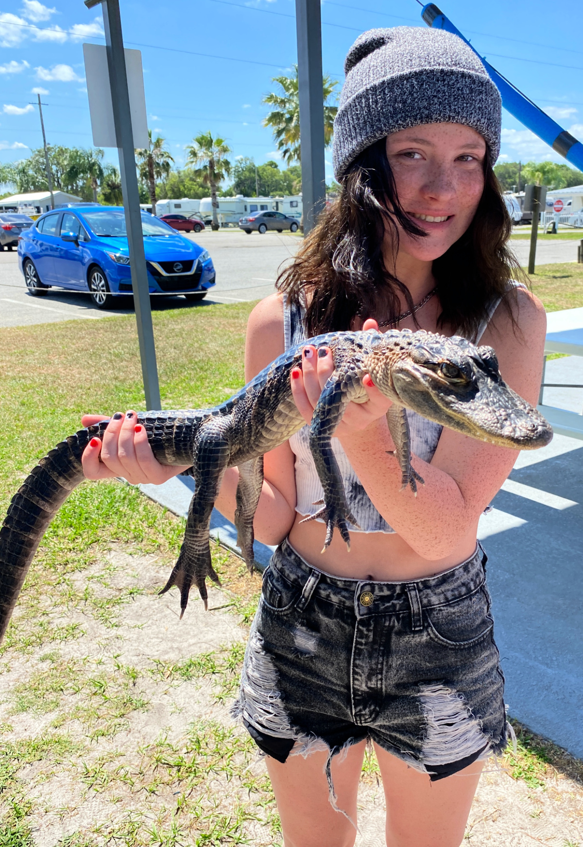 Holding a Baby Alligator