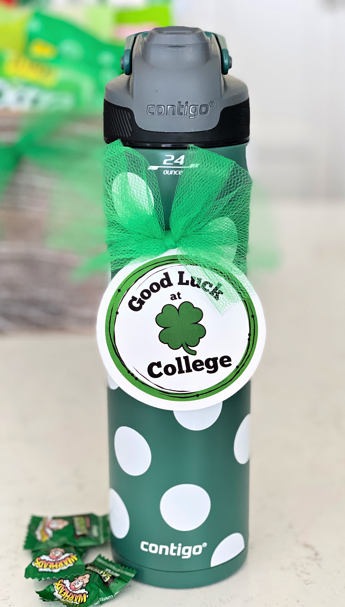 Fun Green Themed Gift for a college student